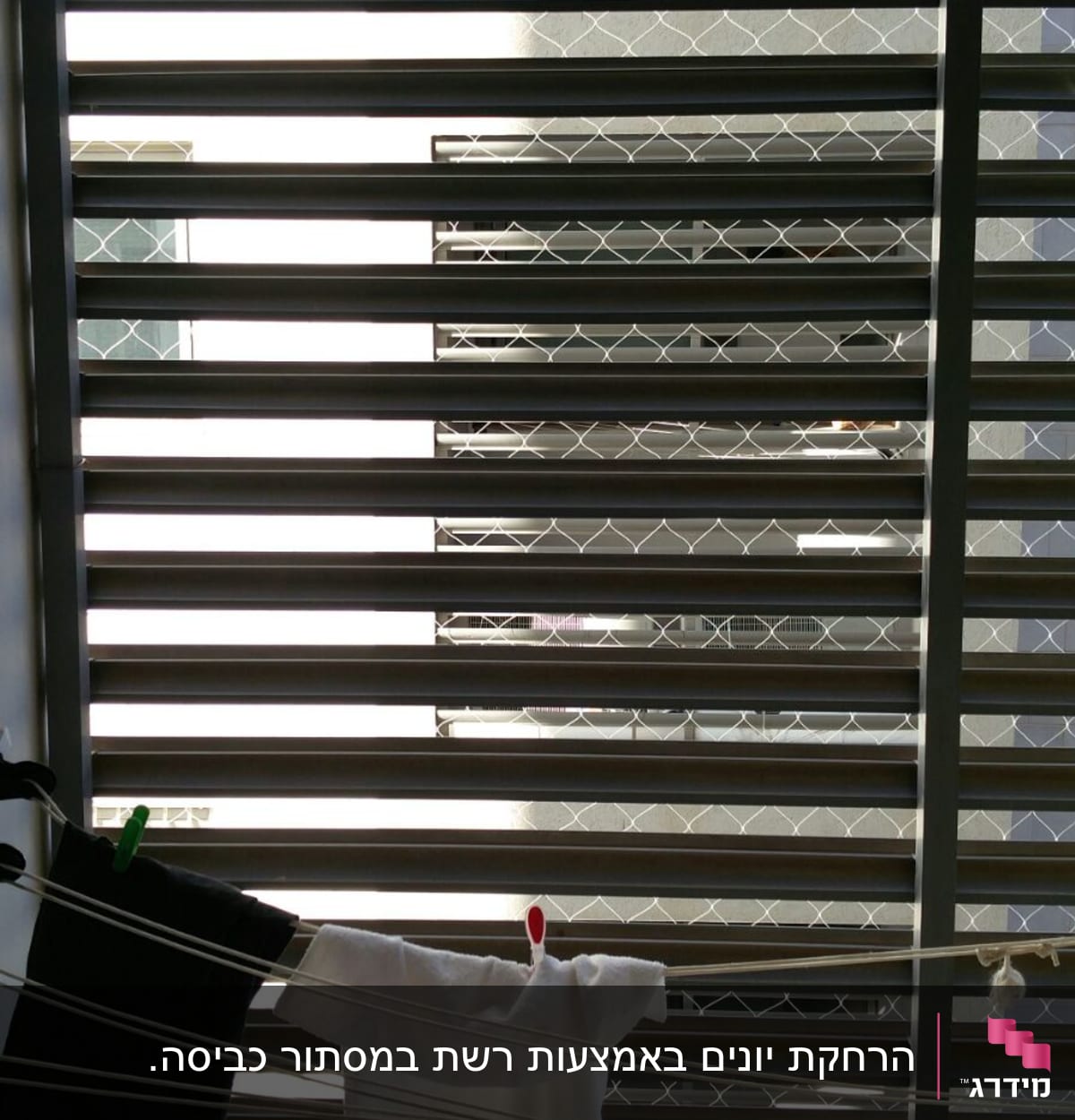 חבלי כביסה עם בגדים מול תריסים ורשת